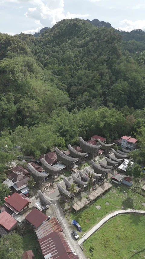 TORAJA 4 Stock-Footage 323113943