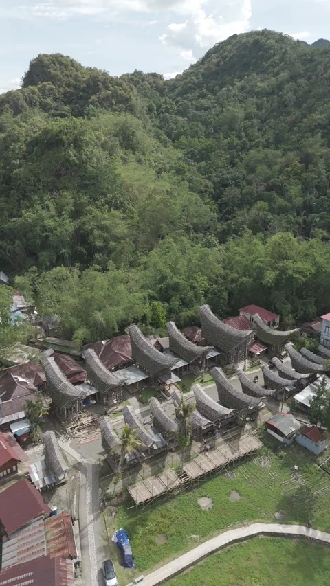 TORAJA 5 Stock Footage 323113950