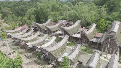 TORAJA 9 Stock-Footage 323114122