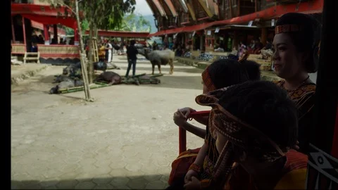Toraja people during a Toraja Death celebration Stock Footage 101762573