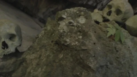 Toraja Skulls 02 Stock Footage 89476433