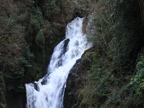 Torc Waterfall Stock-Footage 84331209