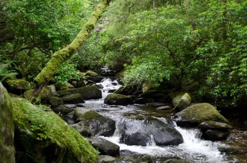Torc Waterfall Stock-Fotos