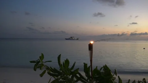 The torch on the beach. Stock Footage 112008553