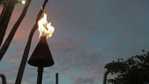 Torch Burning in Front of a Palm Tree with open sky Stock Footage 238067594