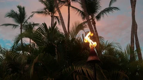 Torch Burning in Front of a Palm Tree Stock Footage 238067626