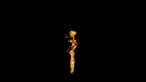 Torch fire animation Stock Footage 69859790