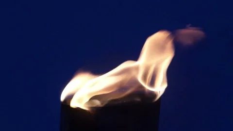 Torch with fire with dark blue sky on background Stock Footage 71060051