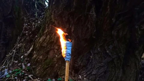 Torch with fire Stock Footage 129655319