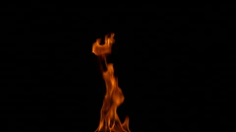Torch Fire Tall Stock Footage 42010579