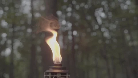 Torch fire Vertical 9x16 in slow-mo Stock Footage 293808788