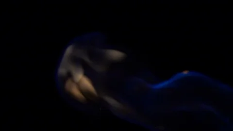 Torch flame.  Blue to yellow flames billow swirl and flickers away Stock Footage 96425306