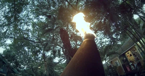 Torch, flame, tropical forest Stock Footage 57675690