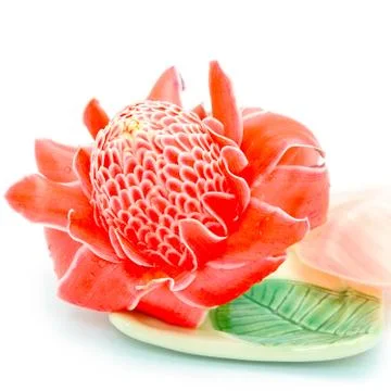 Torch ginger Stock Photos