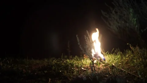 Torch on the grass Video stock 170658789
