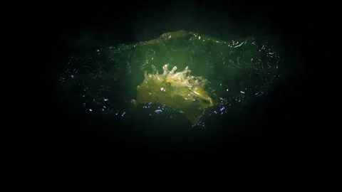 Torch Lights Up Alien Creature Squirming In Egg Sack Stock Footage 154700136