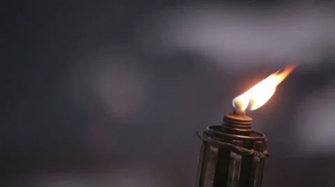 Torch in the Night Stock Footage 36053085