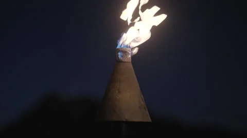 Torch at night mountain silhouette Stock Footage 308044087