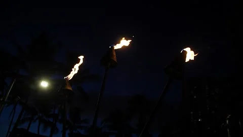 Torches 125 Video stock 155495309