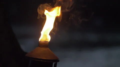 Torches and Fire Stock Footage 135274895