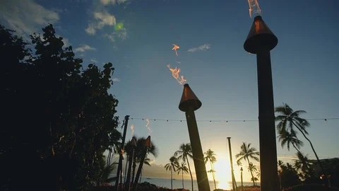 Torches with fire in sunset on the background of palm trees on resort hyatt,maui Stock Footage 101118053