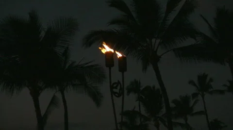 Torches light up the night Stock Footage 97041