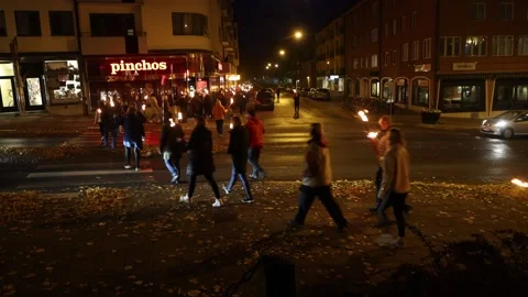 Torchlight Stock Footage 218788643