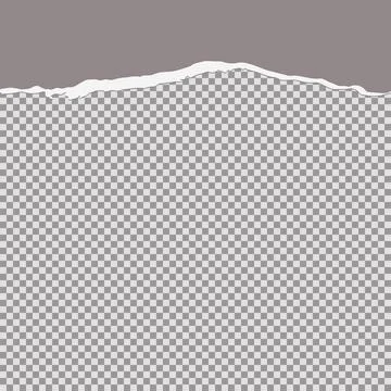 Tore off half a sheet of gray paper from the top. Vector paper design templat Stock Illustration