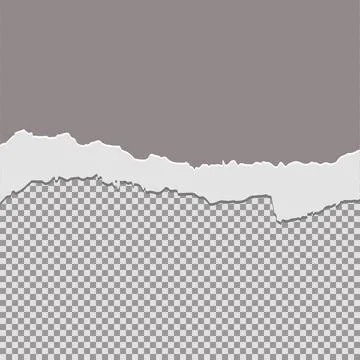 Tore off half a sheet of gray paper from the top. Vector paper design templat Stock Illustration