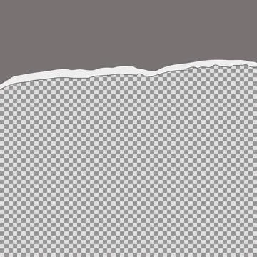 Tore off half a sheet of gray paper from the top. Vector paper design templat Stock Illustration