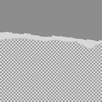 Tore off half a sheet of gray paper from the top. Vector paper design templat Illustrazione stock
