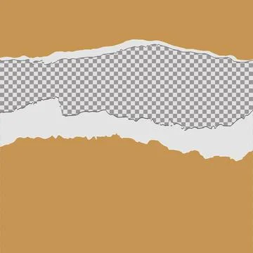 Tore off a piece of colored paper. Vector paper design template. Vector Stock Illustration
