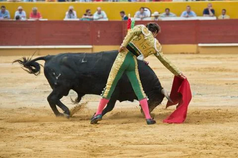 Torero. Stock Photos