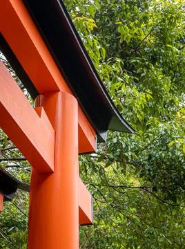 Torii gate close up with trees at the background Stock Photos