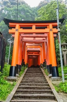 The torii gate covered walking path at Fushimi Inari Taisha temple in Kyoto.. Foto stock