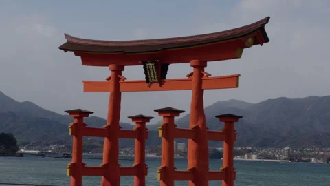 Torii Gate Different Angle 스톡 동영상 316071763