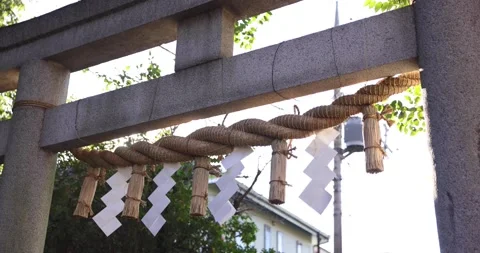 Torii Gate Stock Footage 197944334