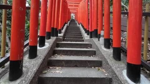 Torii Gate Stock Footage 274143837