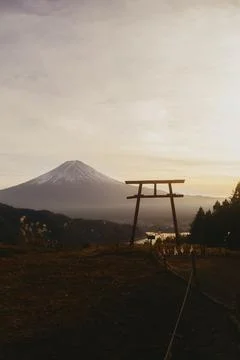 A torii gate frames Mount Fuji in warm evening light Stock Photos