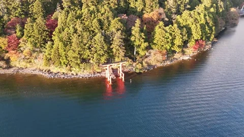 Torii Gate | Lake Ashi Water | Autumn Foliage - 4K Aerial Video Stock Footage 329054794