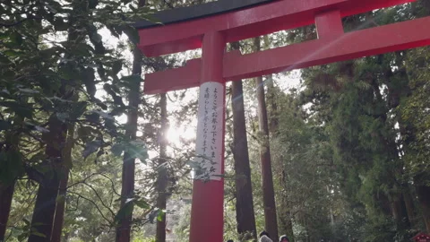 Torii Gate Mountain View Stock Footage 316072089