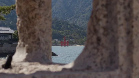 Torii Gate Rack Focus Stock Footage 316071708