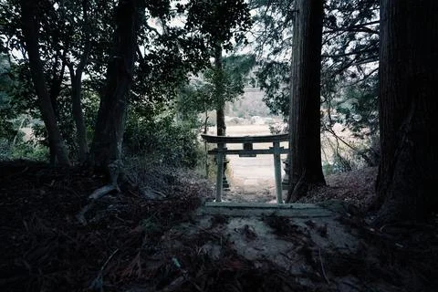 Torii Gate Seen from a Dark Forest Path at a Shinto Shrine Stockfoto's