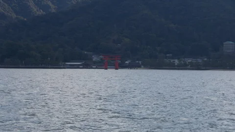 Torii Gate in Water Stock Footage 316071710