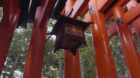 Torii Gates Close-up Stock Footage 316065300