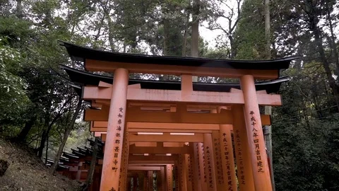 Torii Gates surrounded with trees Stock Footage 79402966