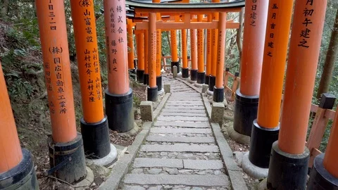 Torii path lined with thousands of torii in the Fushimi Inari Taisha Shrine in 스톡 동영상 124329789
