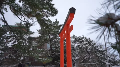 Torii in snowfall Low angle shot in Hakodate Gokoku Shrine Hakodate Japan 動画素材 325632790