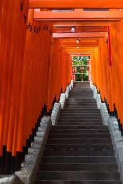 Torii from tokyo Stock Photos