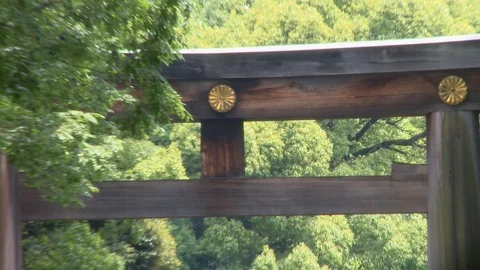 Torii Walkway Stock Footage 113433695
